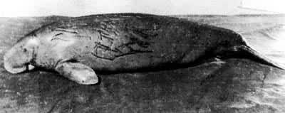 ͼ3������