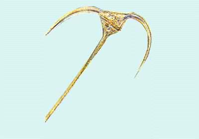 �����Ž���