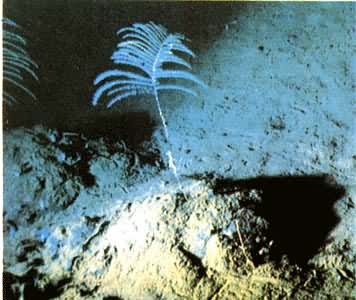 ǻ�����ﺣ��