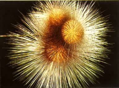 �пճ����ݱ���棬��ԭ������