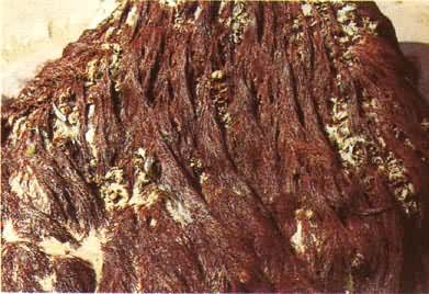 �ൺ������ĺ����Ŷ����