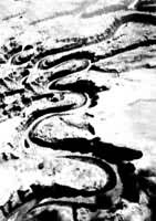 ͼ1�����������ݸ��ֺ���