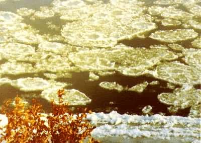 �۽��＾Բ��������