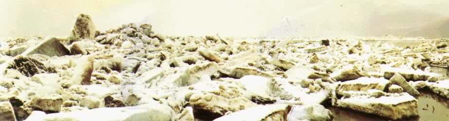 �ɻ������������Ӷα���