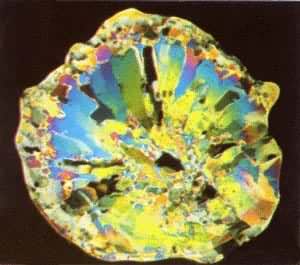 ������Ƭ��ƫ��⣩