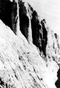 ͼ2 �������ﻯ����ֺ����ճ�����±���