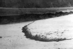 ͼ1 ��ʯ����ͷ��̬