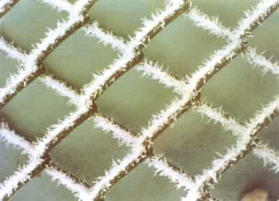 ��˿���ϵ���״��ڡ