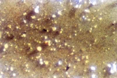 �������ܽ�