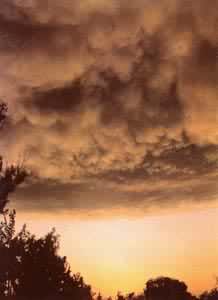 ����״������