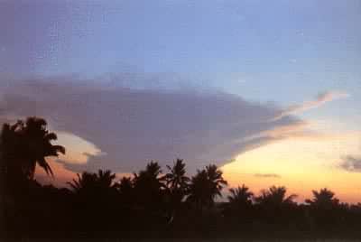 �׻�����