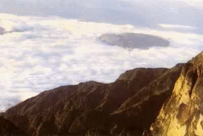 ������ƶ�