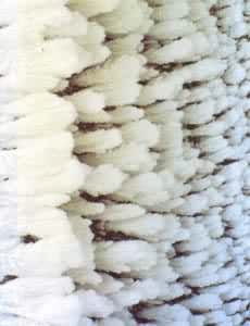 �����ϵ���״��ڡ