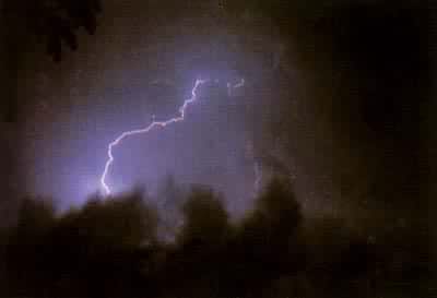 ��״����