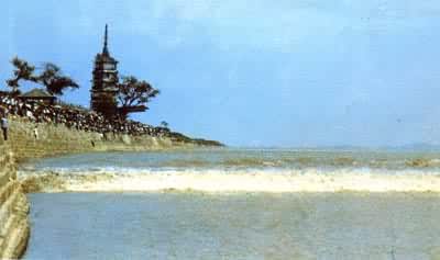 Ǯ����ӿ��