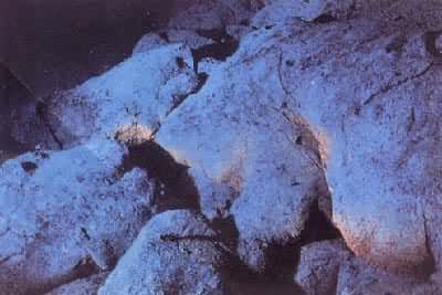 ��̫ƽ��¡������������������