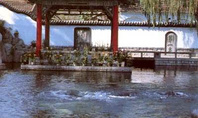 ɽ��������ͻȪ