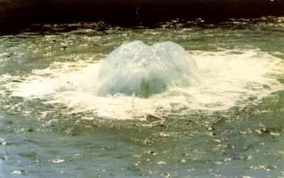 ɽ������10����Ȼ��