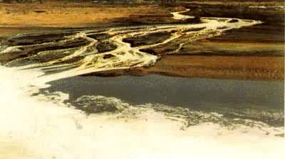 ��ֽ����ˮ�������