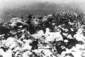 ��ɳȺ����ƽ̨��ɺ��Ⱥ��