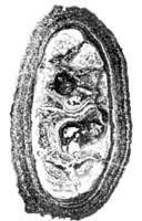 �̽�˵Ļ���״������ڲ���м