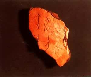 �׹����е�ˮ��