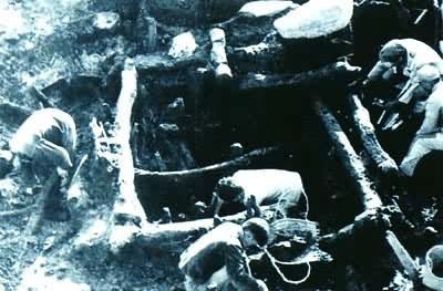 �㽭��Ҧ��ķ�ɹž������5000���꣩�ڶ���ľ��ˮ����������