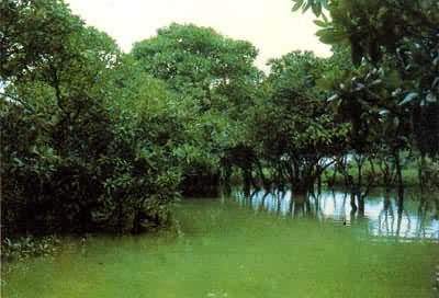 ���ϵ���ǰ���ں���������