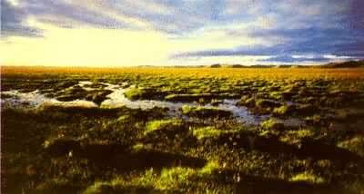 ��������̿���󾰹�