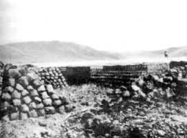 ͼ4�����ڿ����е���̿��