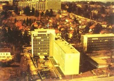 ������ʿ�����ߵ�����������֯���鴦