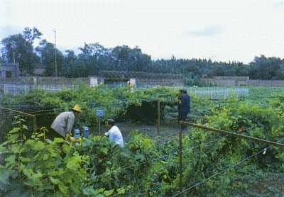 �½���³����������ũҵ��������վ