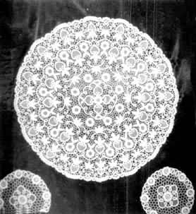 ��ϼ��鳻�������Բ��