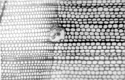 ��ά�ĺ�����ͼ