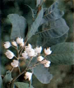 ����Ҷ����Ϣ���