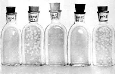 ͼ2��Helaϸ���ϼ�������ײ����Ŀհ�