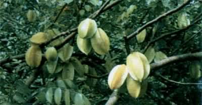 ���ң������ݿ�