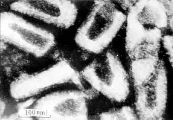 ��״������ˮ���Կ��ײ�����