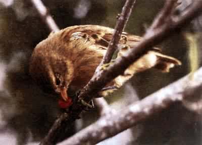 ����ĵ�ȸ����С��ȸ