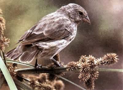 ����ĵ�ȸ����С��ȸ