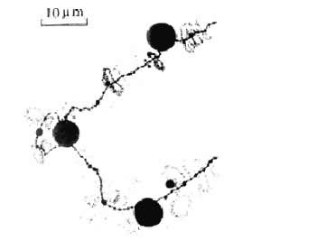 ͼ6 ����������Ĺ�����ˢȾɫ������ϵ�����