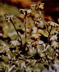 ��������ĵ�Ǯ