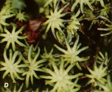 ��Ǯ��������