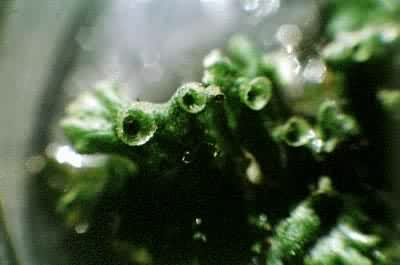 ��Ǯ����