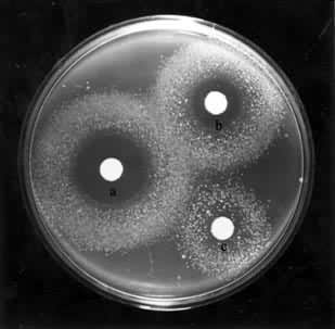 ͼ1 ��ķ˹����