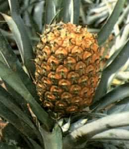 ���棬�����