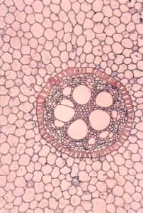 �β���ĳ��쿭�ϴ�