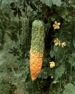 ��ϣ���«��