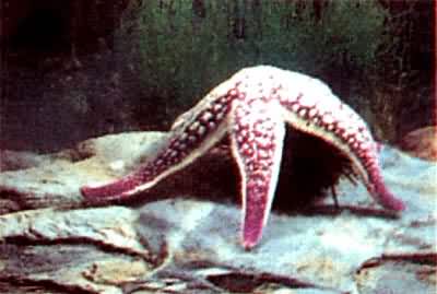 �༬���̳������ڳ�һ������