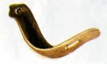 �г�����ⱡ��ϸ��ͨ��������ɢ��ˮ�н������Ͷ�����̼